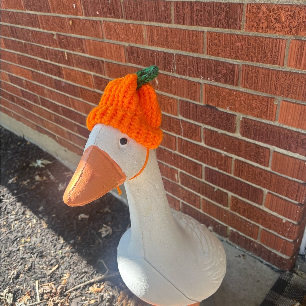 NWOT Pumpkin Knit Hat for Porch Goose